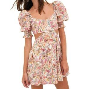 NWT For Love and Lemons Floral Mushroom Wonderful Print Mini Arya Dress M